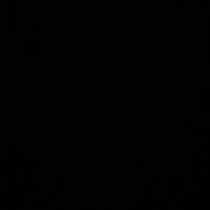 Meet your Posher, Dani